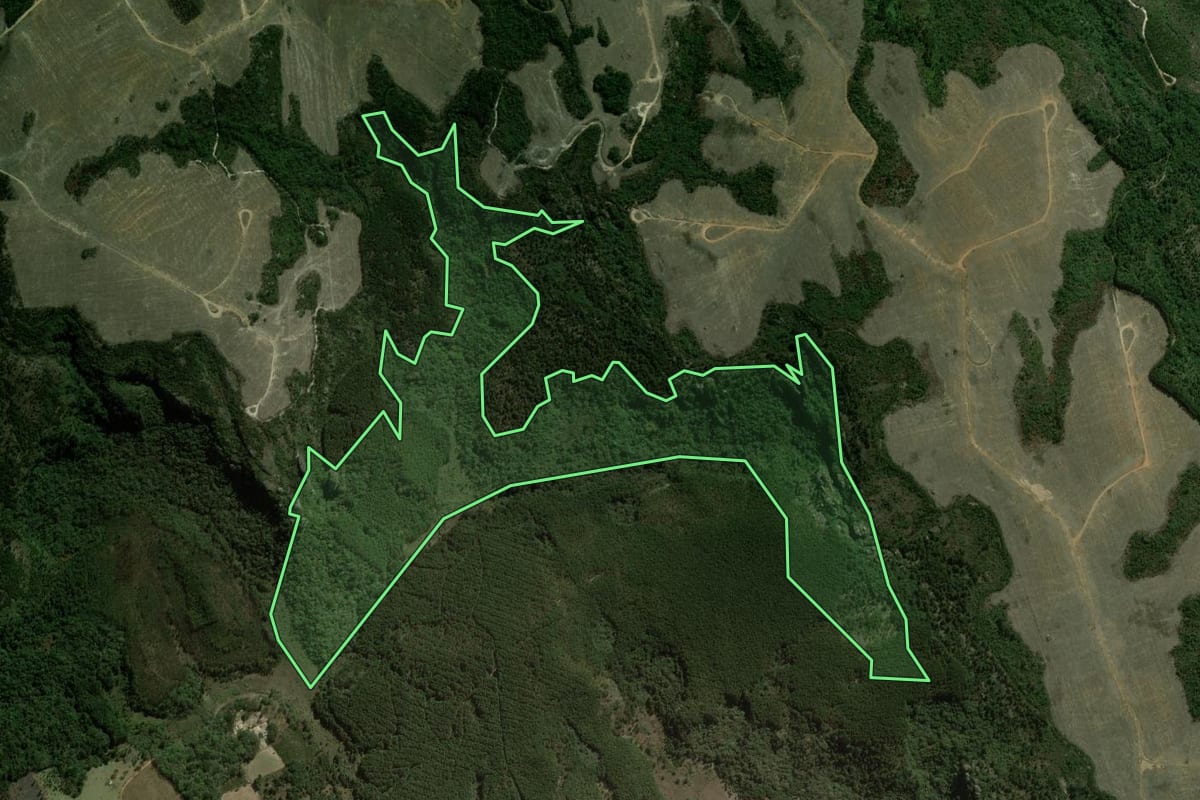 Imagem de satélite do imóvel rural em Sengés (PR), com o contorno declarado no CAR desenhado por cima.