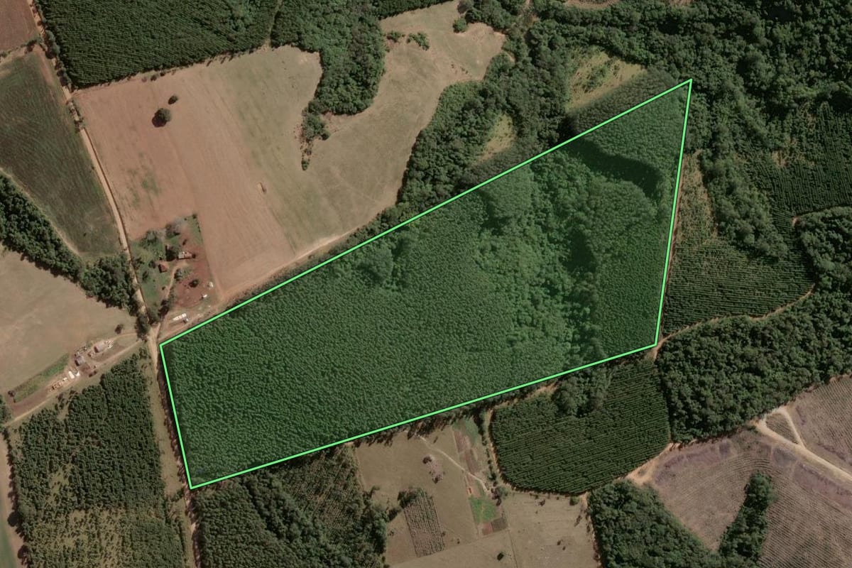 Imagem de satélite do imóvel rural em Sengés (PR), com o contorno declarado no CAR desenhado por cima.