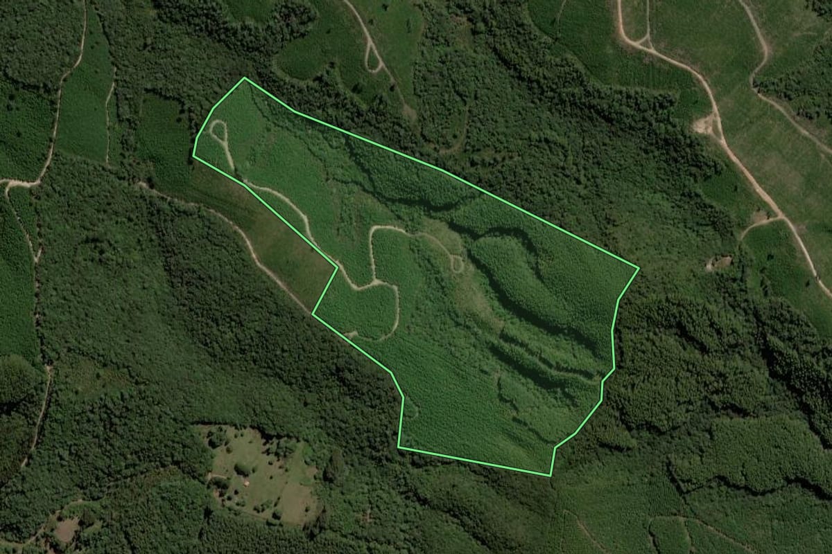 Imagem de satélite do imóvel rural em Sengés (PR), com o contorno declarado no CAR desenhado por cima.