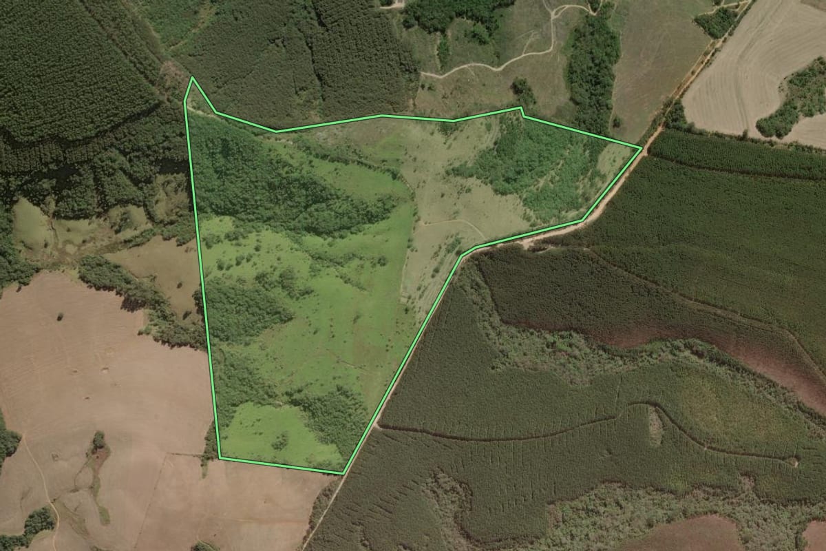 Imagem de satélite do imóvel rural em Sengés (PR), com o contorno declarado no CAR desenhado por cima.