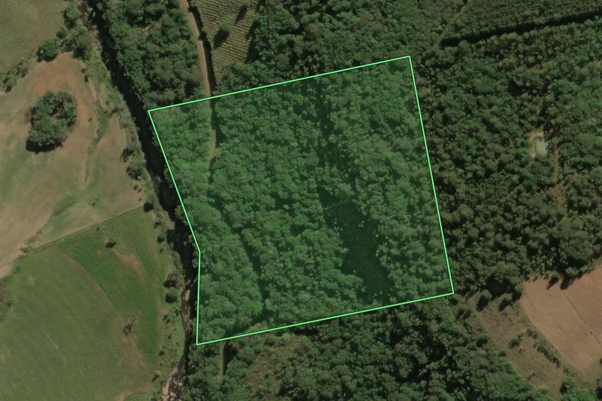 Imagem de satélite do imóvel rural em Sengés (PR), com o contorno declarado no CAR desenhado por cima.
