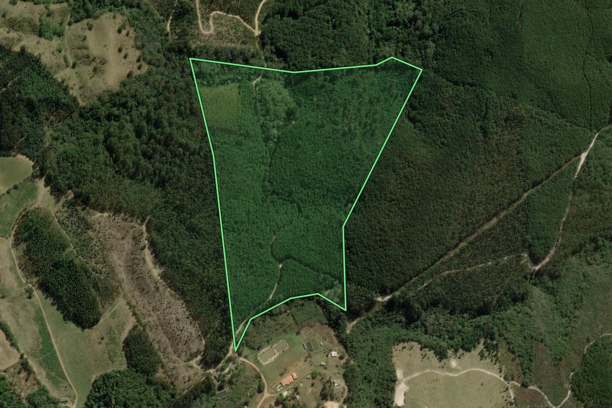 Imagem de satélite do imóvel rural em Sengés (PR), com o contorno declarado no CAR desenhado por cima.