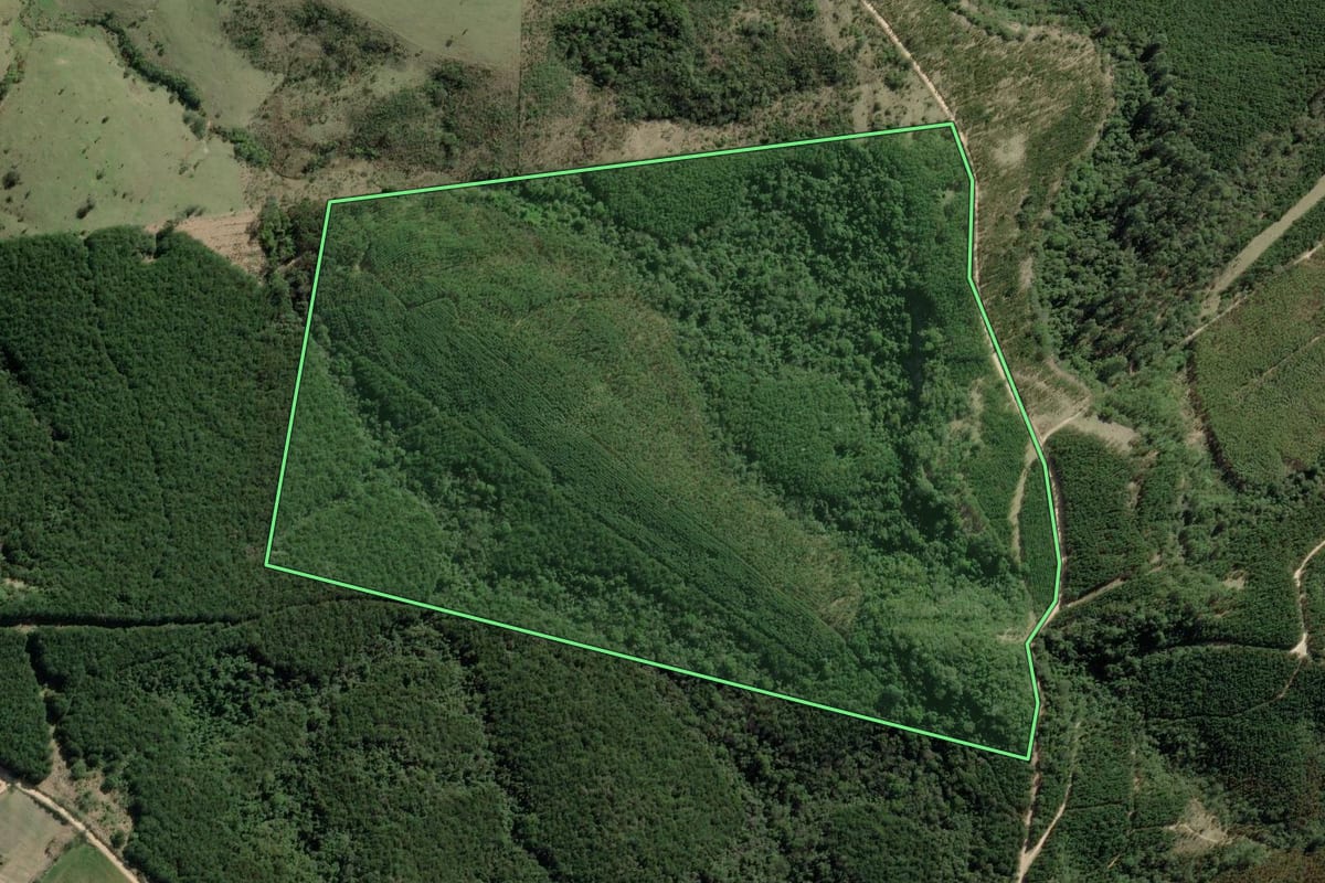 Imagem de satélite do imóvel rural em Sengés (PR), com o contorno declarado no CAR desenhado por cima.
