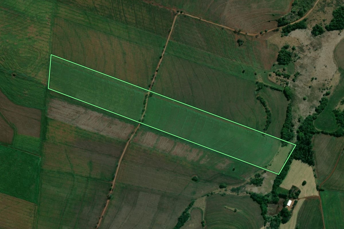 Imagem de satélite do imóvel rural em Sertaneja (PR), com o contorno declarado no CAR desenhado por cima.