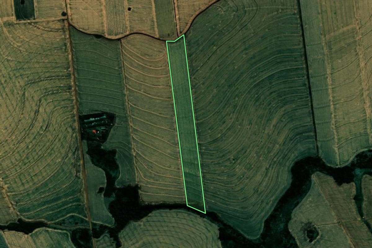 Imagem de satélite do imóvel rural em Sertanópolis (PR), com o contorno declarado no CAR desenhado por cima.