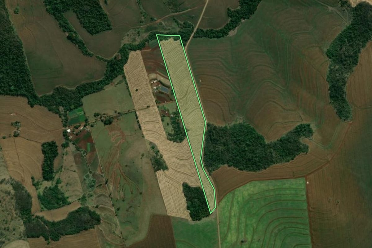 Imagem de satélite do imóvel rural em Sertanópolis (PR), com o contorno declarado no CAR desenhado por cima.