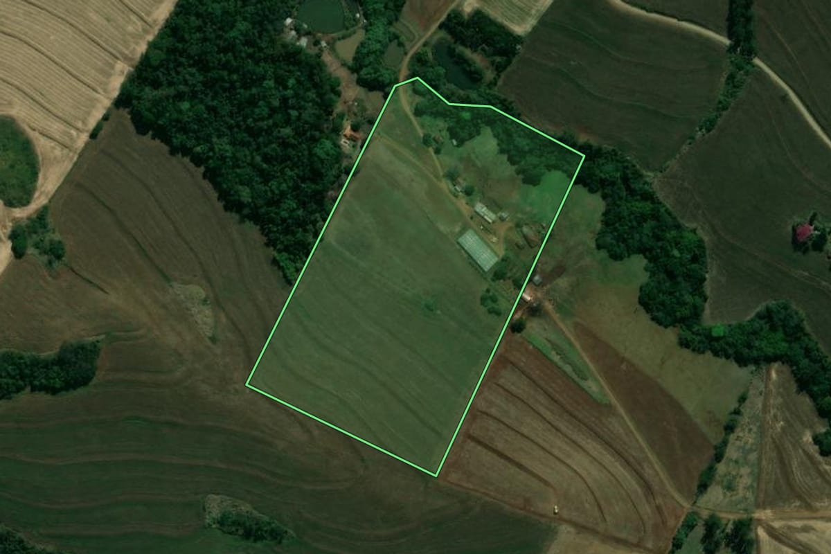 Imagem de satélite do imóvel rural em Sertanópolis (PR), com o contorno declarado no CAR desenhado por cima.