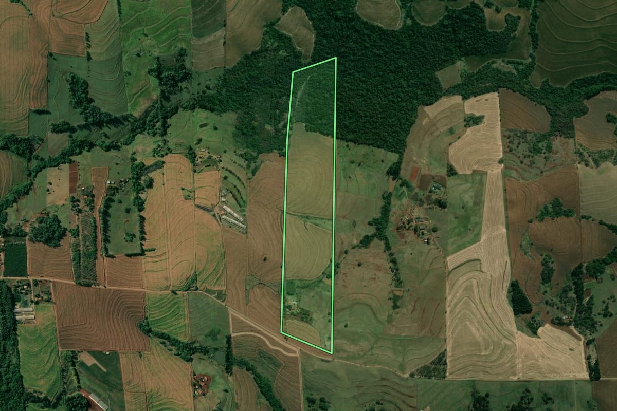 Imagem de satélite do imóvel rural em Sertanópolis (PR), com o contorno declarado no CAR desenhado por cima.