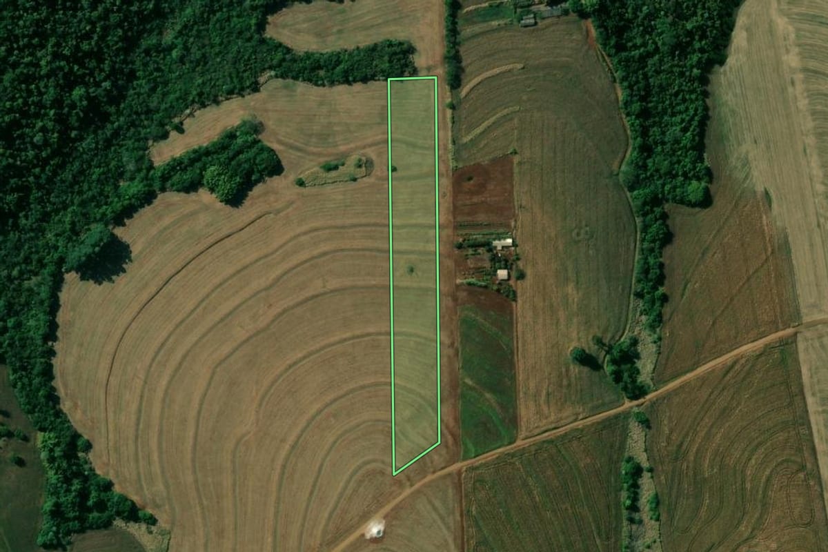 Imagem de satélite do imóvel rural em Sertanópolis (PR), com o contorno declarado no CAR desenhado por cima.