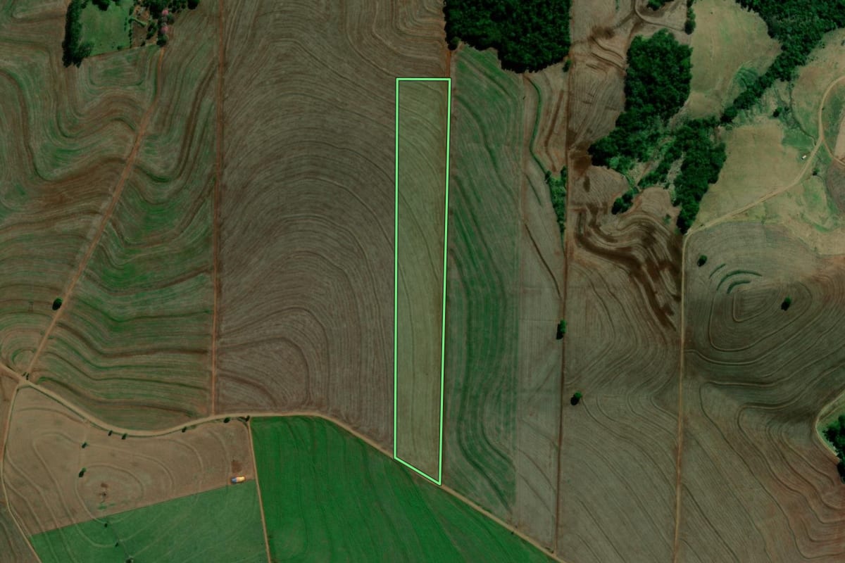 Imagem de satélite do imóvel rural em Sertanópolis (PR), com o contorno declarado no CAR desenhado por cima.