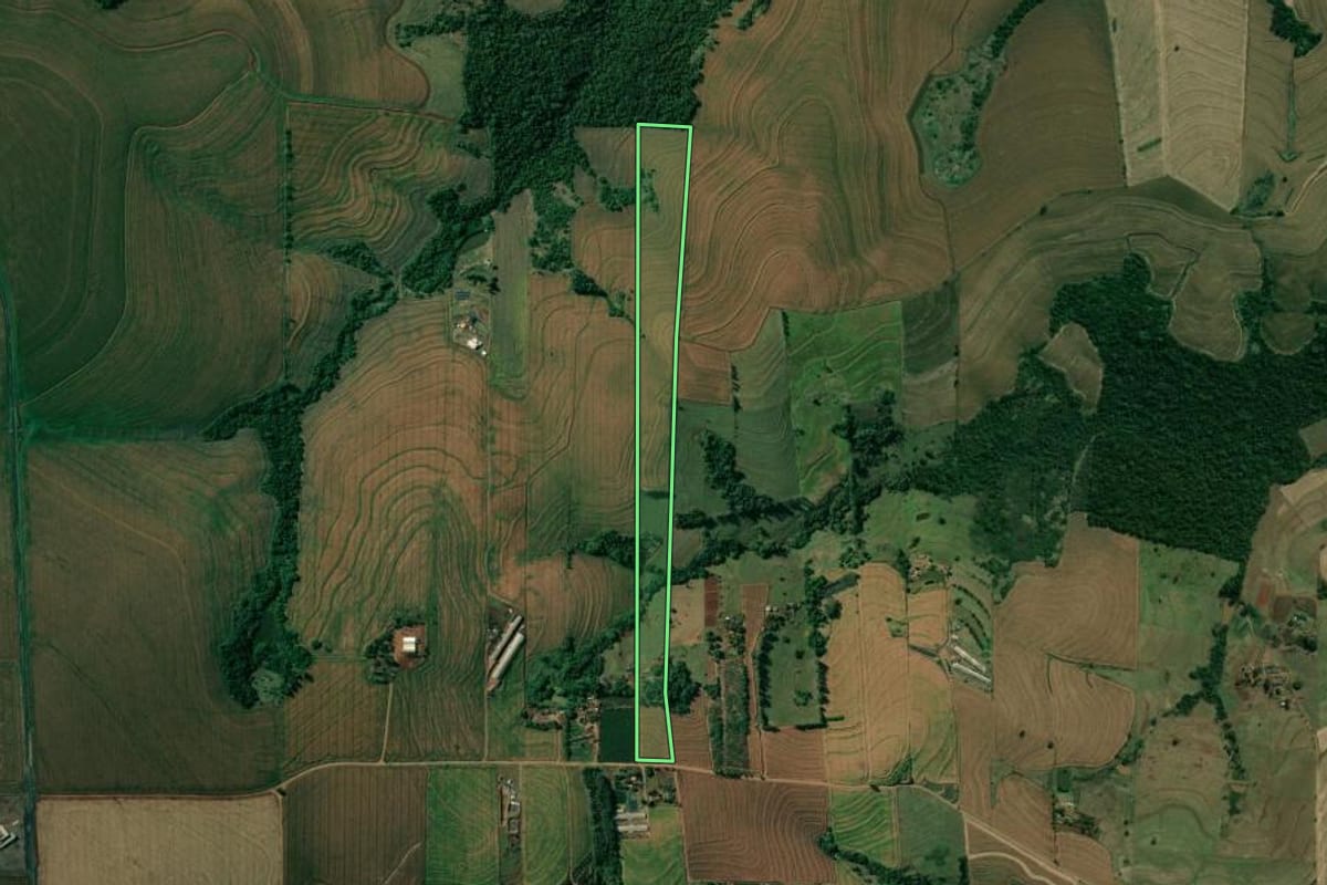 Imagem de satélite do imóvel rural em Sertanópolis (PR), com o contorno declarado no CAR desenhado por cima.