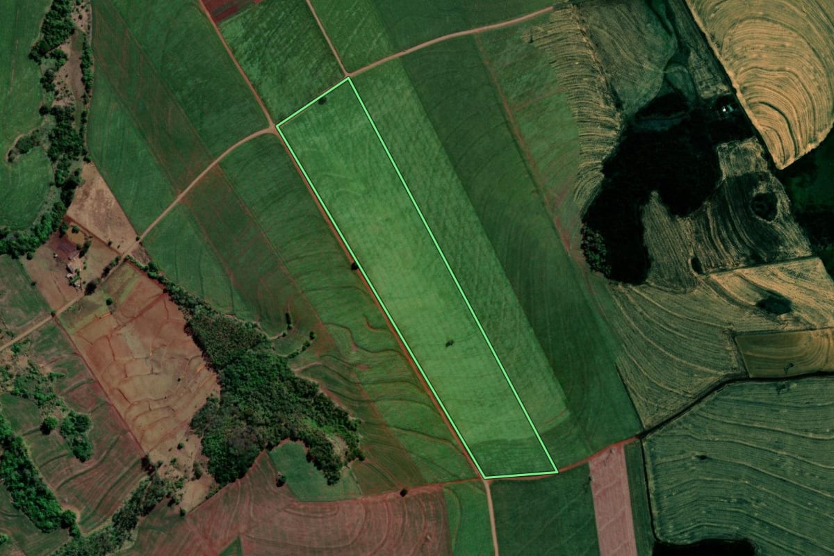 Imagem de satélite do imóvel rural em Sertanópolis (PR), com o contorno declarado no CAR desenhado por cima.