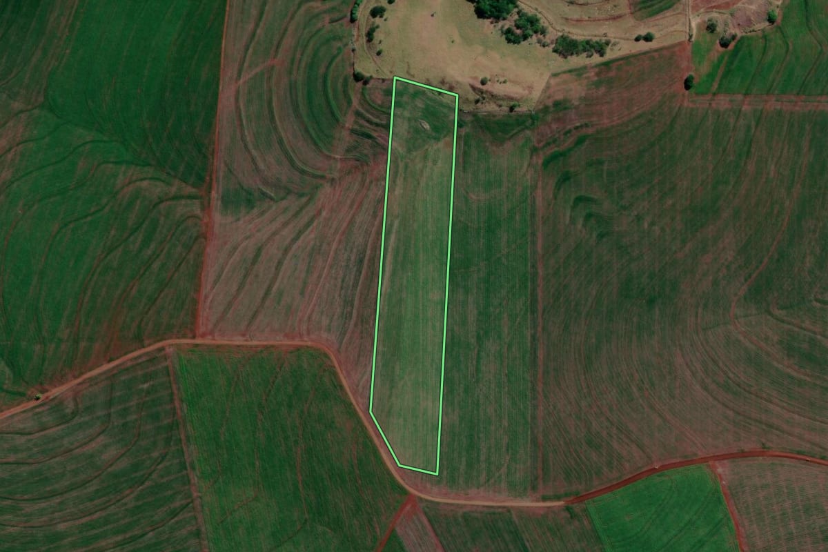 Imagem de satélite do imóvel rural em Sertanópolis (PR), com o contorno declarado no CAR desenhado por cima.