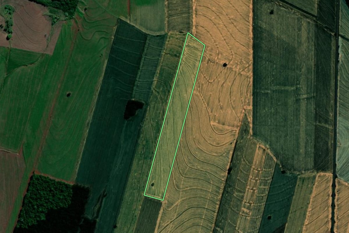 Imagem de satélite do imóvel rural em Sertanópolis (PR), com o contorno declarado no CAR desenhado por cima.