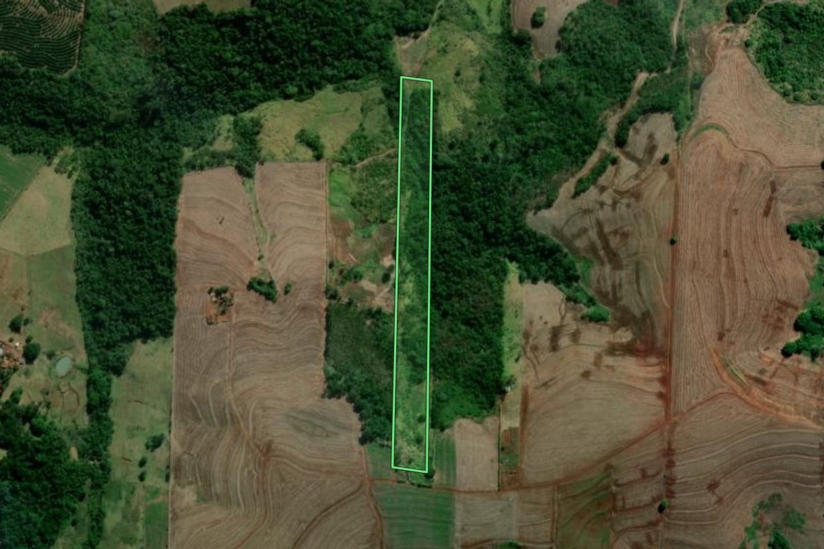 Imagem de satélite do imóvel rural em Sertanópolis (PR), com o contorno declarado no CAR desenhado por cima.