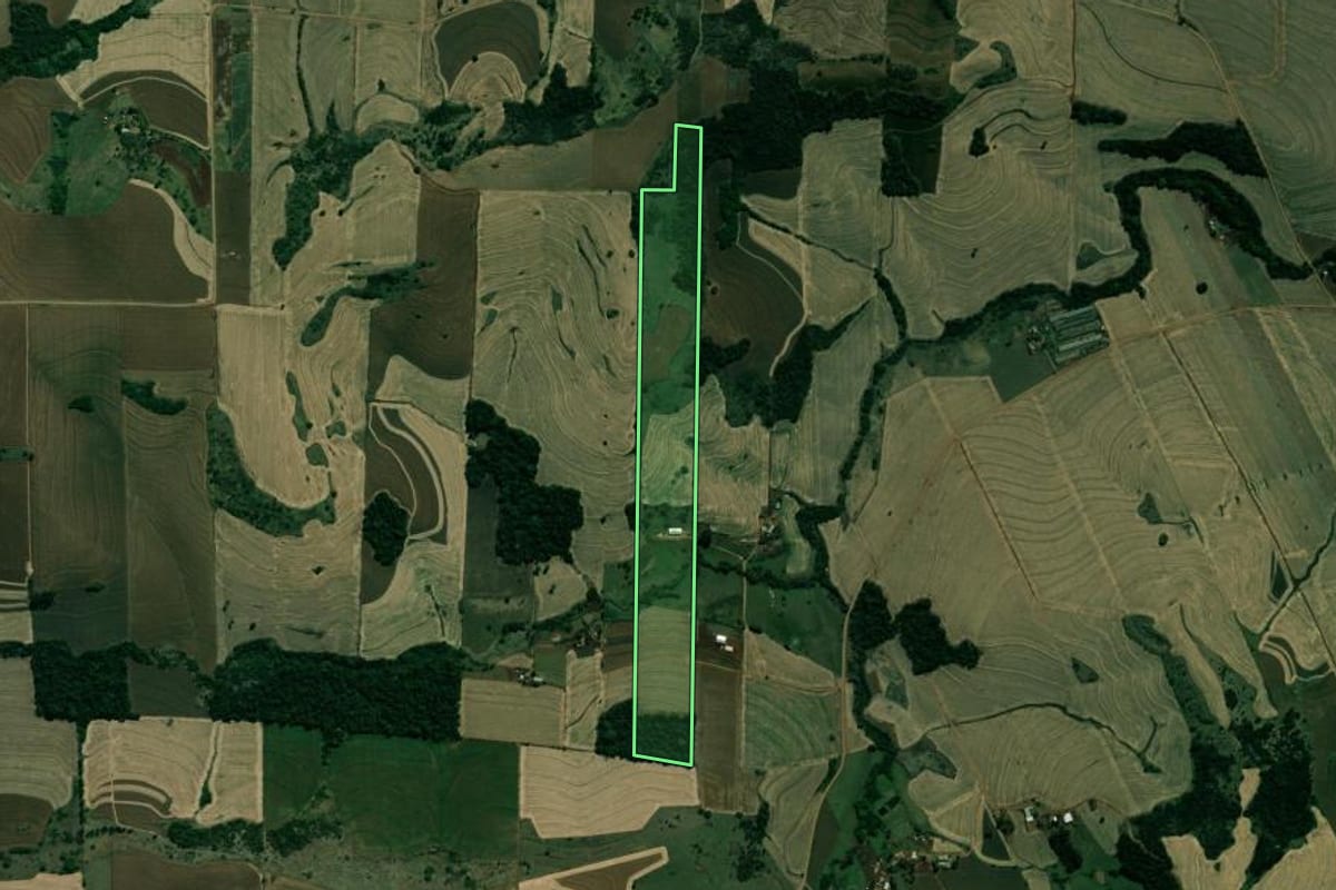 Imagem de satélite do imóvel rural em Sertanópolis (PR), com o contorno declarado no CAR desenhado por cima.