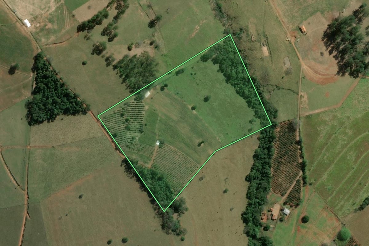 Imagem de satélite do imóvel rural em Siqueira Campos (PR), com o contorno declarado no CAR desenhado por cima.
