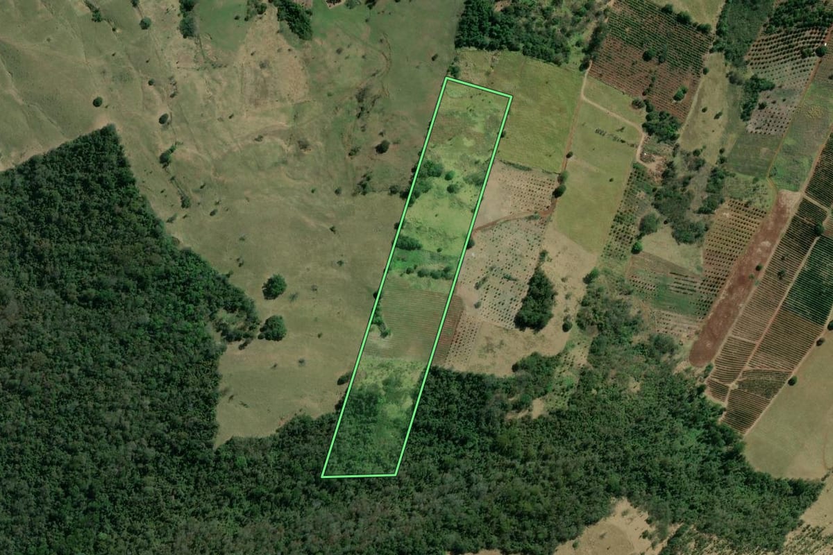 Imagem de satélite do imóvel rural em Siqueira Campos (PR), com o contorno declarado no CAR desenhado por cima.
