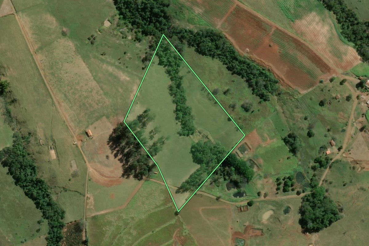 Imagem de satélite do imóvel rural em Siqueira Campos (PR), com o contorno declarado no CAR desenhado por cima.