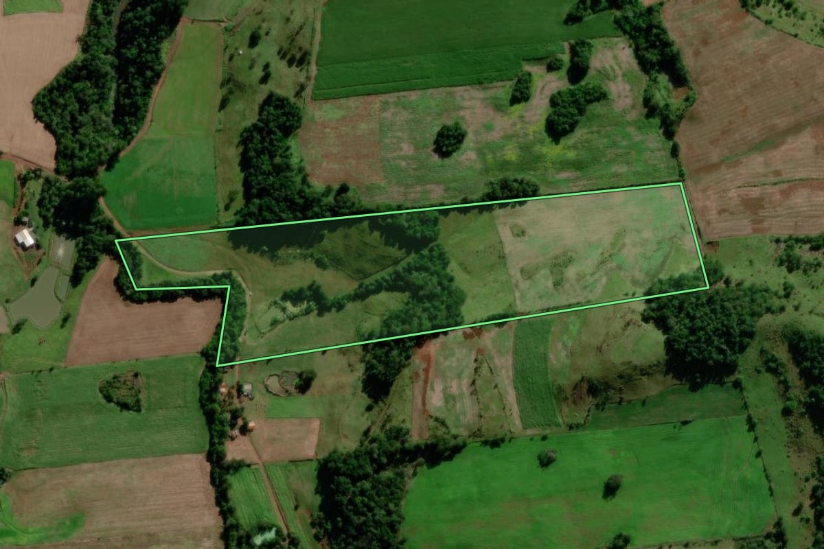 Imagem de satélite do imóvel rural em Sulina (PR), com o contorno declarado no CAR desenhado por cima.