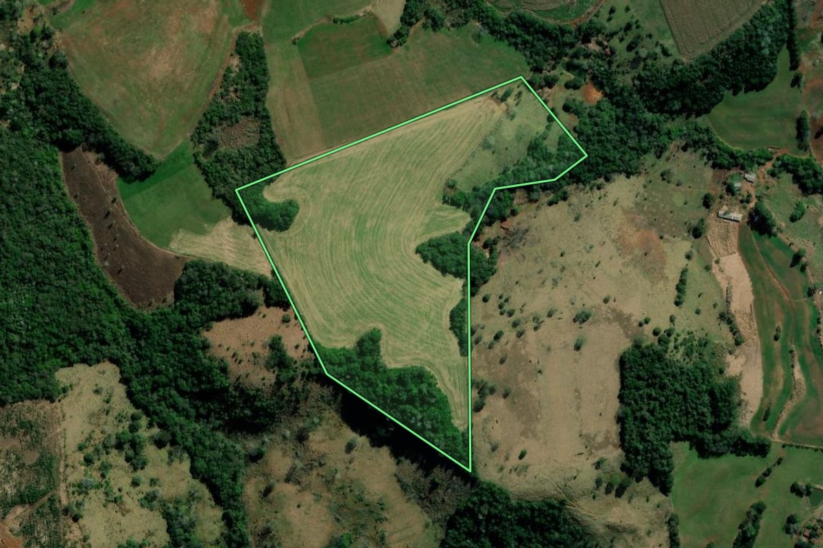 Imagem de satélite do imóvel rural em Sulina (PR), com o contorno declarado no CAR desenhado por cima.