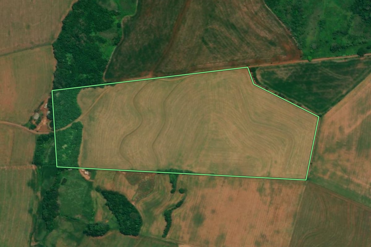Imagem de satélite do imóvel rural em Sulina (PR), com o contorno declarado no CAR desenhado por cima.