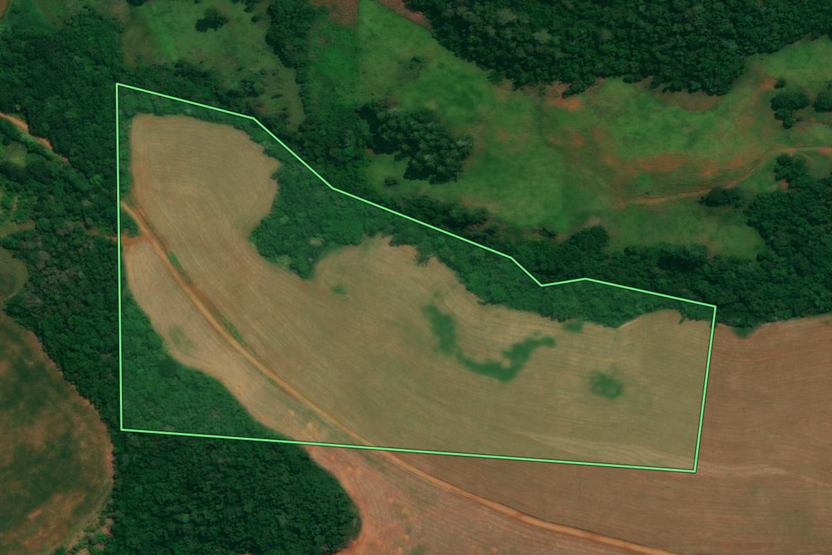Imagem de satélite do imóvel rural em Sulina (PR), com o contorno declarado no CAR desenhado por cima.