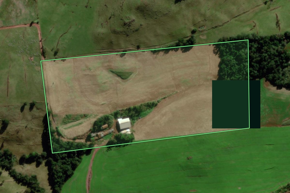Imagem de satélite do imóvel rural em Sulina (PR), com o contorno declarado no CAR desenhado por cima.