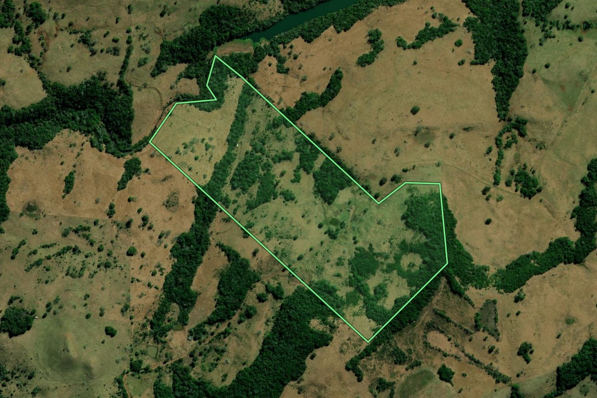 Imagem de satélite do imóvel rural em Sulina (PR), com o contorno declarado no CAR desenhado por cima.