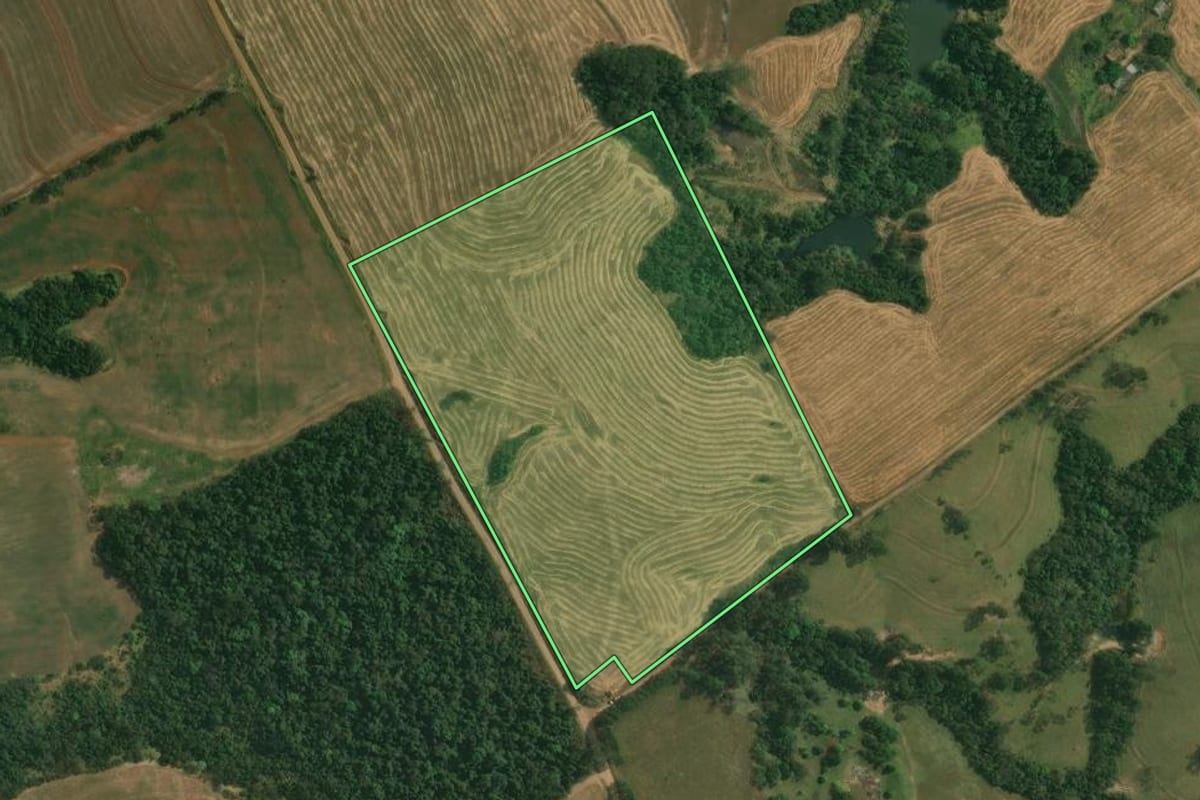 Imagem de satélite do imóvel rural em Tamarana (PR), com o contorno declarado no CAR desenhado por cima.