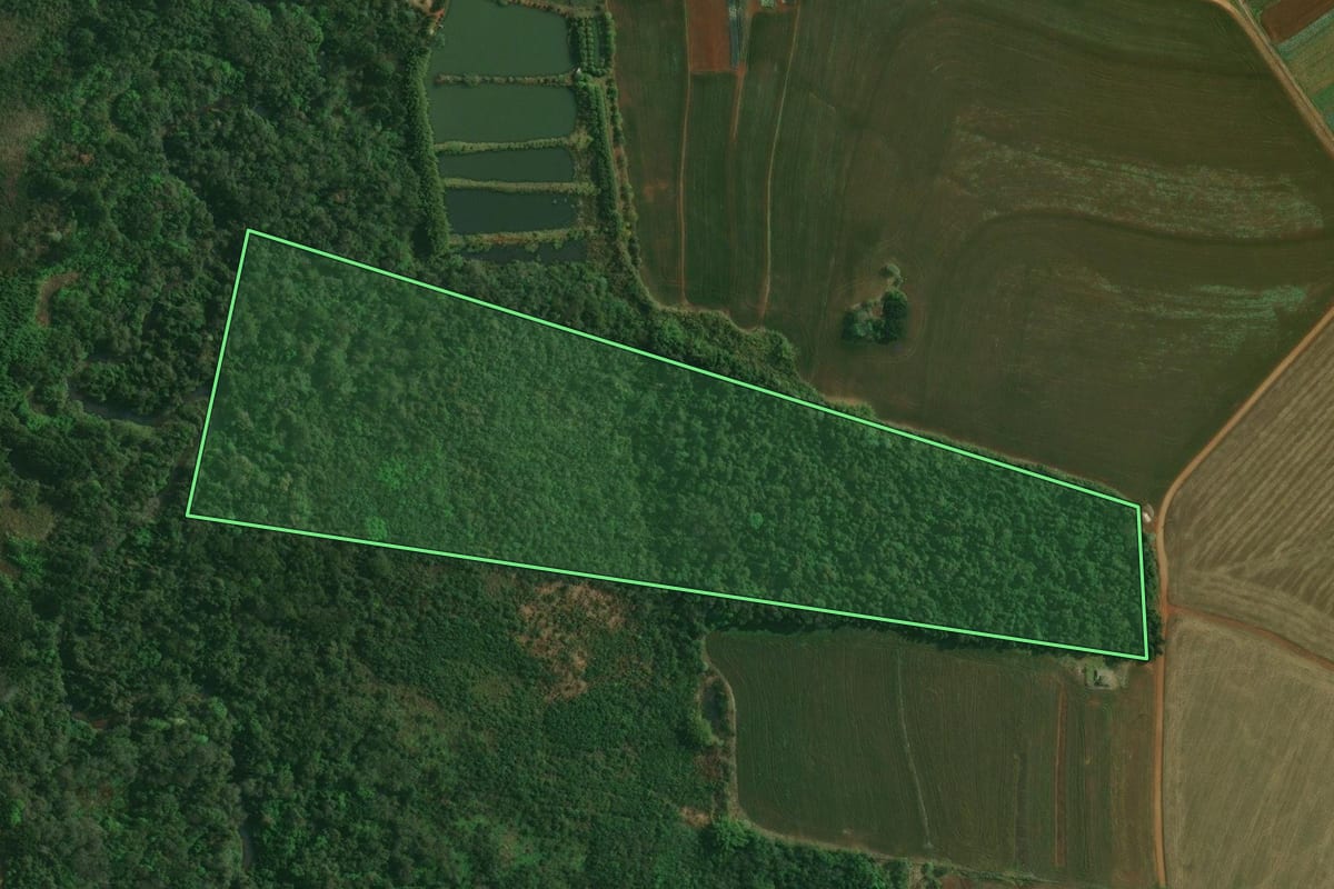 Imagem de satélite do imóvel rural em Tamarana (PR), com o contorno declarado no CAR desenhado por cima.