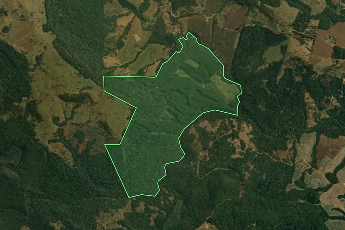 Imagem de satélite do imóvel rural em Tamarana (PR), com o contorno declarado no CAR desenhado por cima.