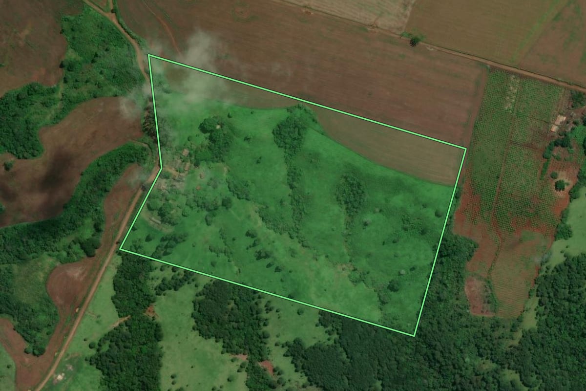 Imagem de satélite do imóvel rural em Tamarana (PR), com o contorno declarado no CAR desenhado por cima.
