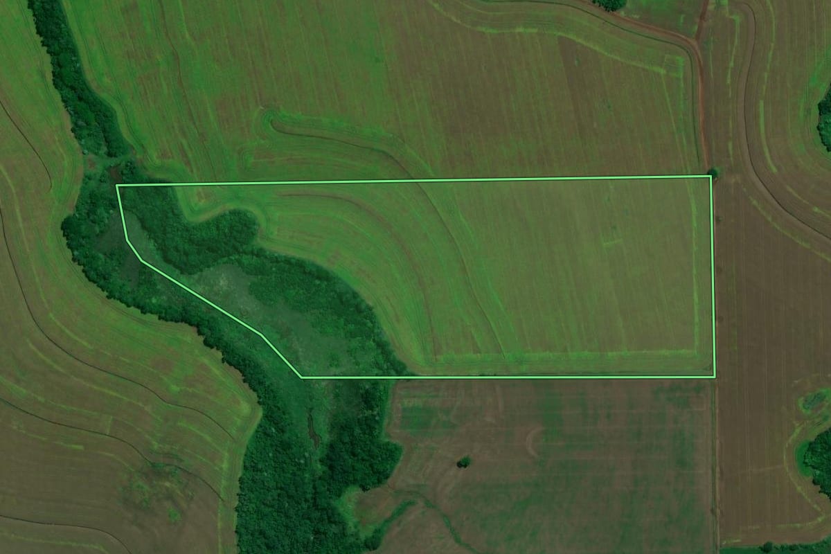 Imagem de satélite do imóvel rural em Tamarana (PR), com o contorno declarado no CAR desenhado por cima.