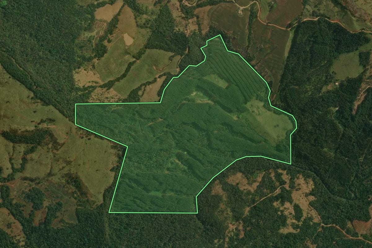 Imagem de satélite do imóvel rural em Tamarana (PR), com o contorno declarado no CAR desenhado por cima.