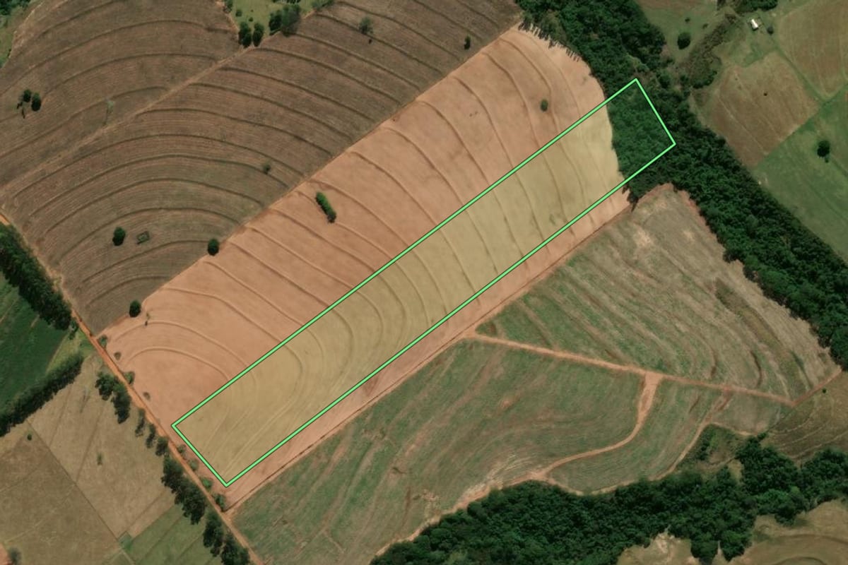 Imagem de satélite do imóvel rural em Tamboara (PR), com o contorno declarado no CAR desenhado por cima.