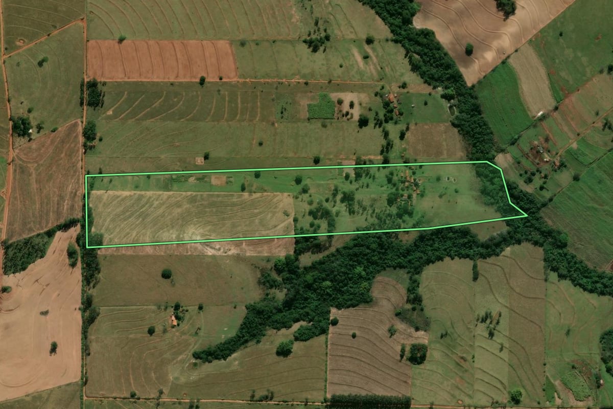 Imagem de satélite do imóvel rural em Tamboara (PR), com o contorno declarado no CAR desenhado por cima.