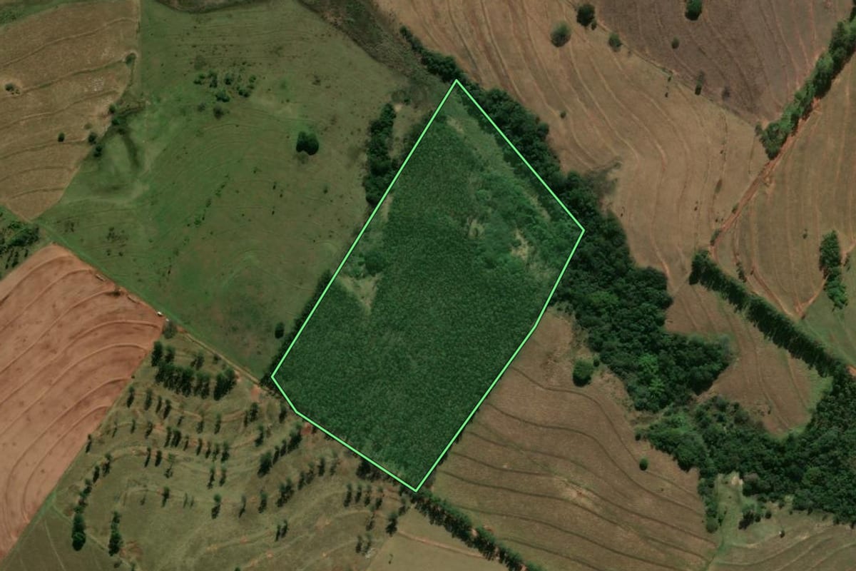Imagem de satélite do imóvel rural em Tamboara (PR), com o contorno declarado no CAR desenhado por cima.