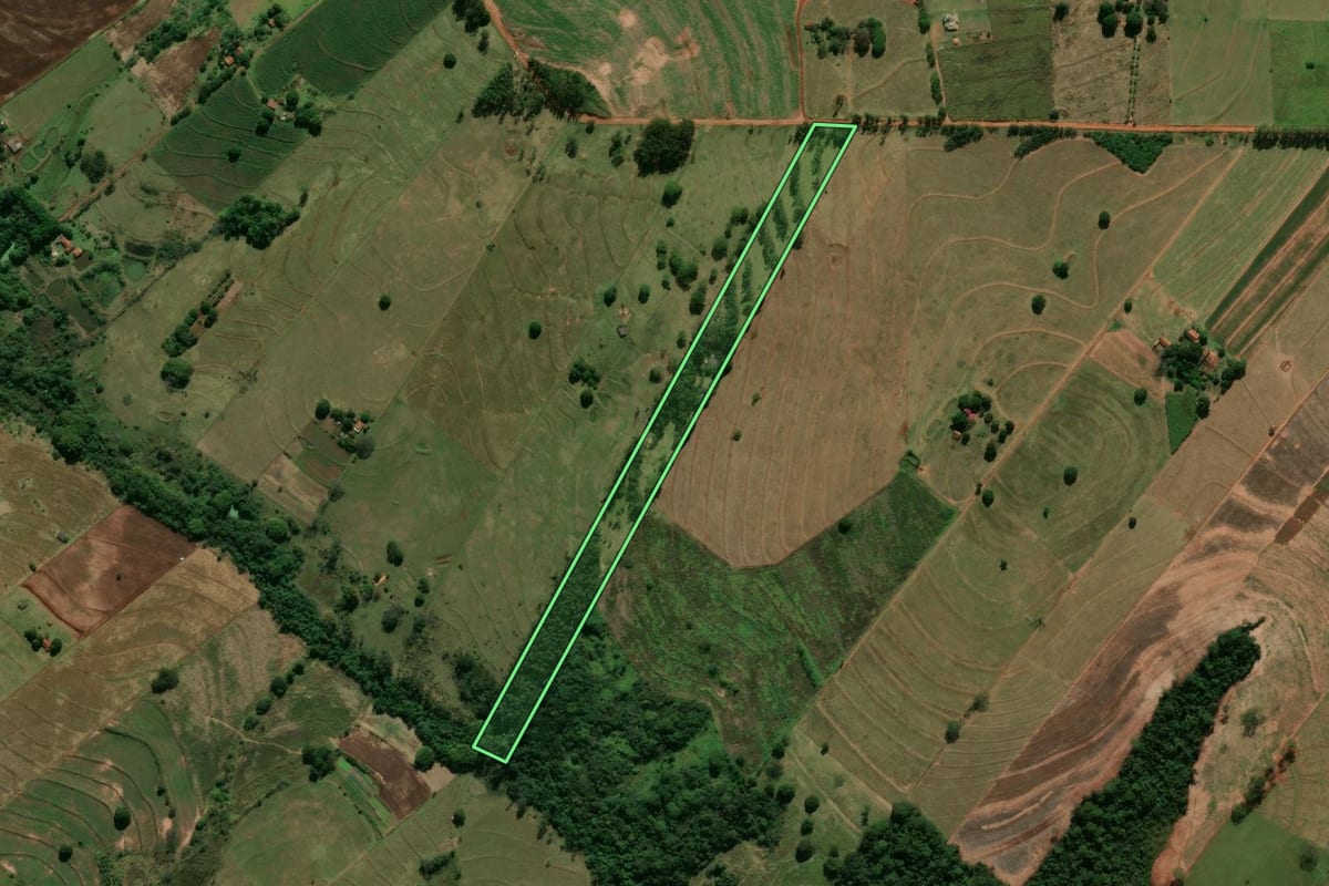 Imagem de satélite do imóvel rural em Tamboara (PR), com o contorno declarado no CAR desenhado por cima.