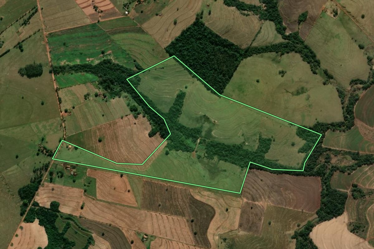 Imagem de satélite do imóvel rural em Tamboara (PR), com o contorno declarado no CAR desenhado por cima.