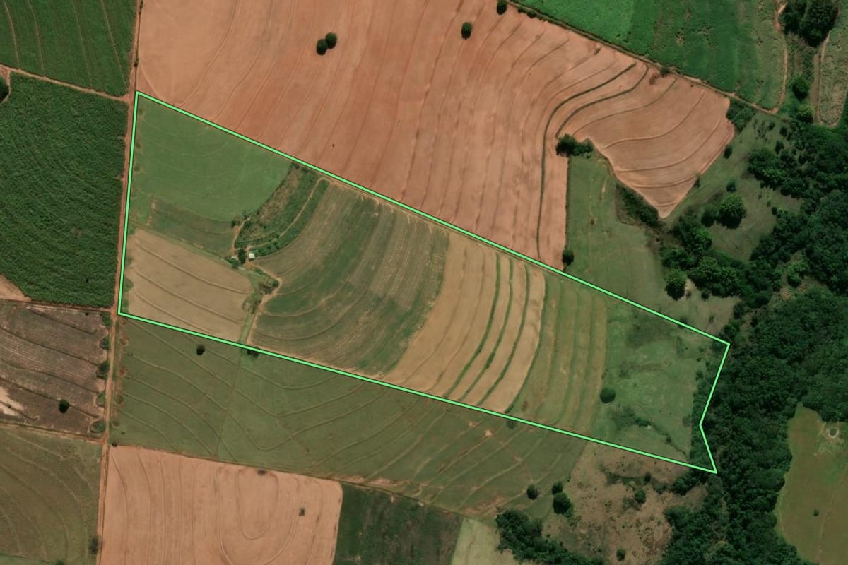 Imagem de satélite do imóvel rural em Tamboara (PR), com o contorno declarado no CAR desenhado por cima.