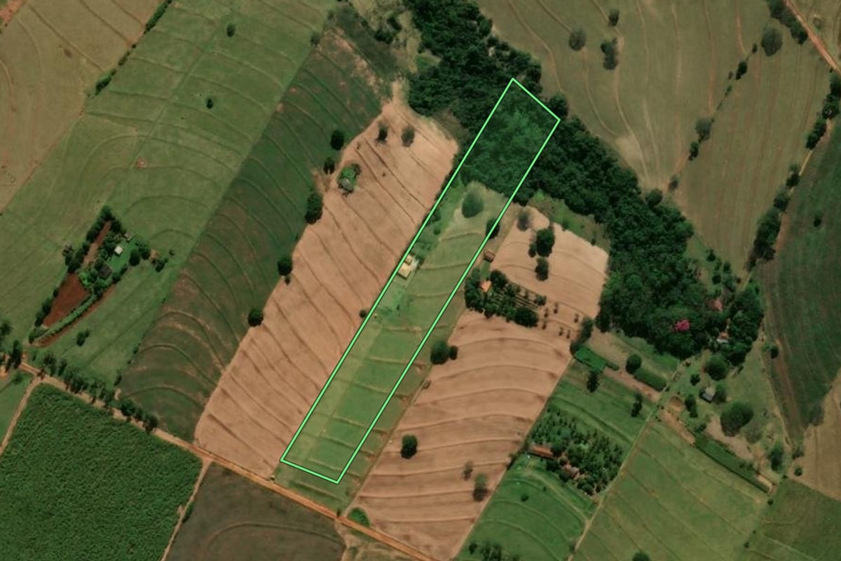 Imagem de satélite do imóvel rural em Tamboara (PR), com o contorno declarado no CAR desenhado por cima.
