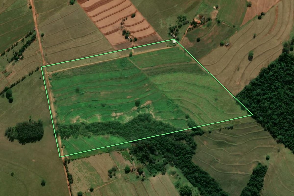 Imagem de satélite do imóvel rural em Tamboara (PR), com o contorno declarado no CAR desenhado por cima.
