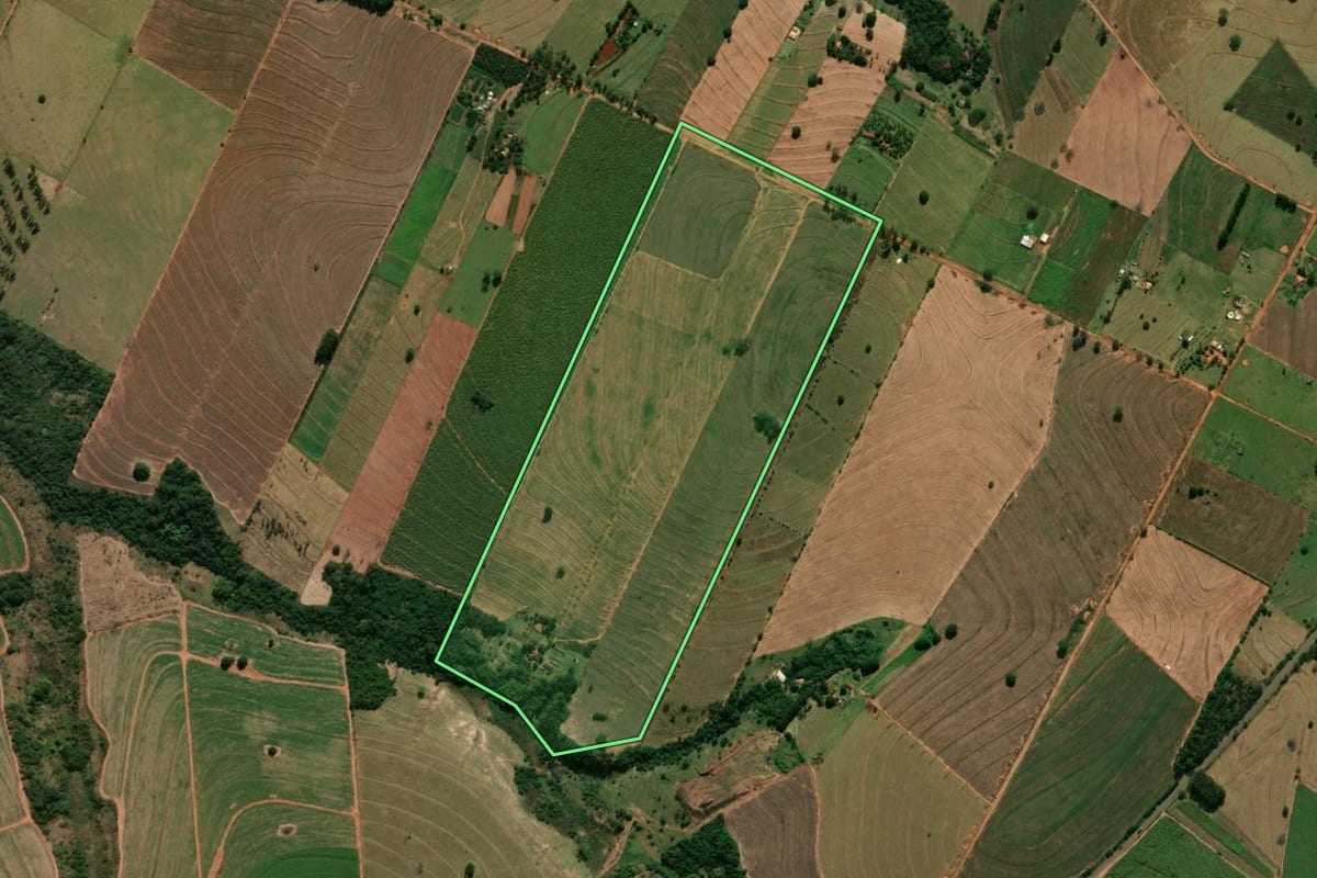 Imagem de satélite do imóvel rural em Tamboara (PR), com o contorno declarado no CAR desenhado por cima.