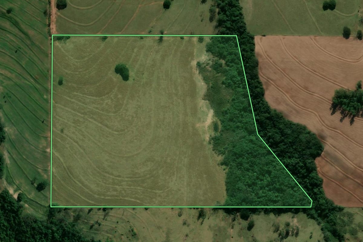 Imagem de satélite do imóvel rural em Tamboara (PR), com o contorno declarado no CAR desenhado por cima.