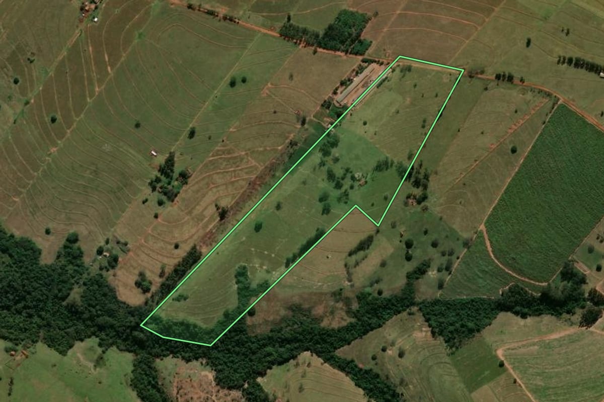 Imagem de satélite do imóvel rural em Tamboara (PR), com o contorno declarado no CAR desenhado por cima.
