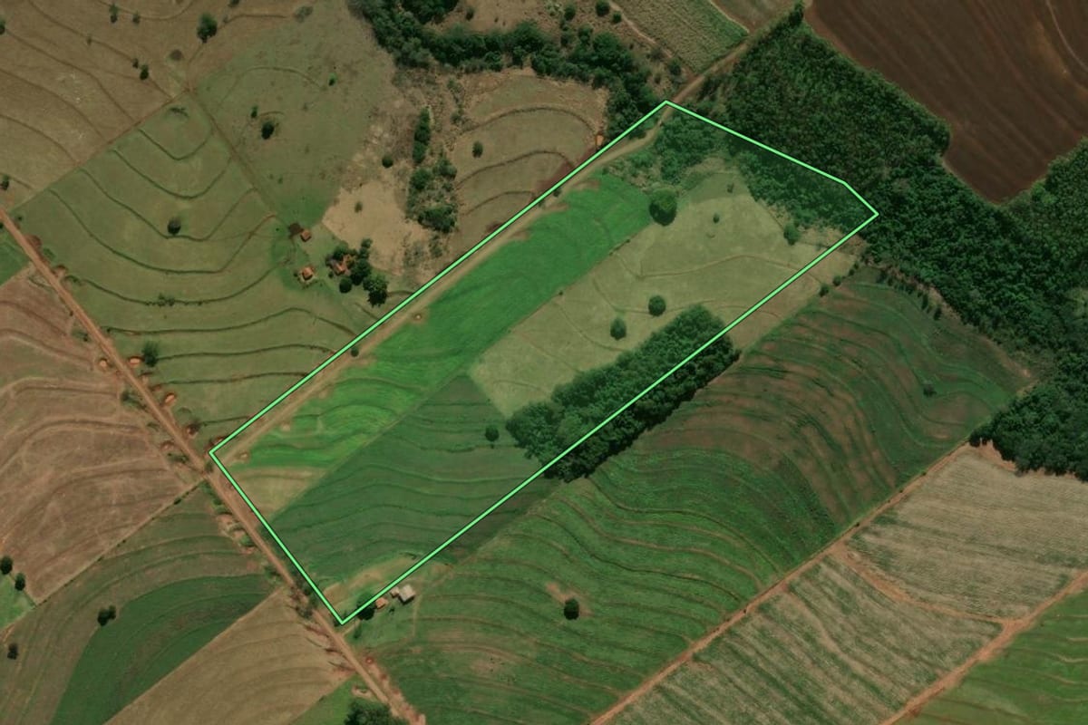 Imagem de satélite do imóvel rural em Tamboara (PR), com o contorno declarado no CAR desenhado por cima.