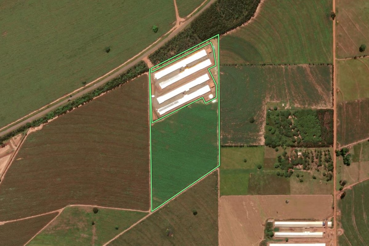 Imagem de satélite do imóvel rural em Tamboara (PR), com o contorno declarado no CAR desenhado por cima.