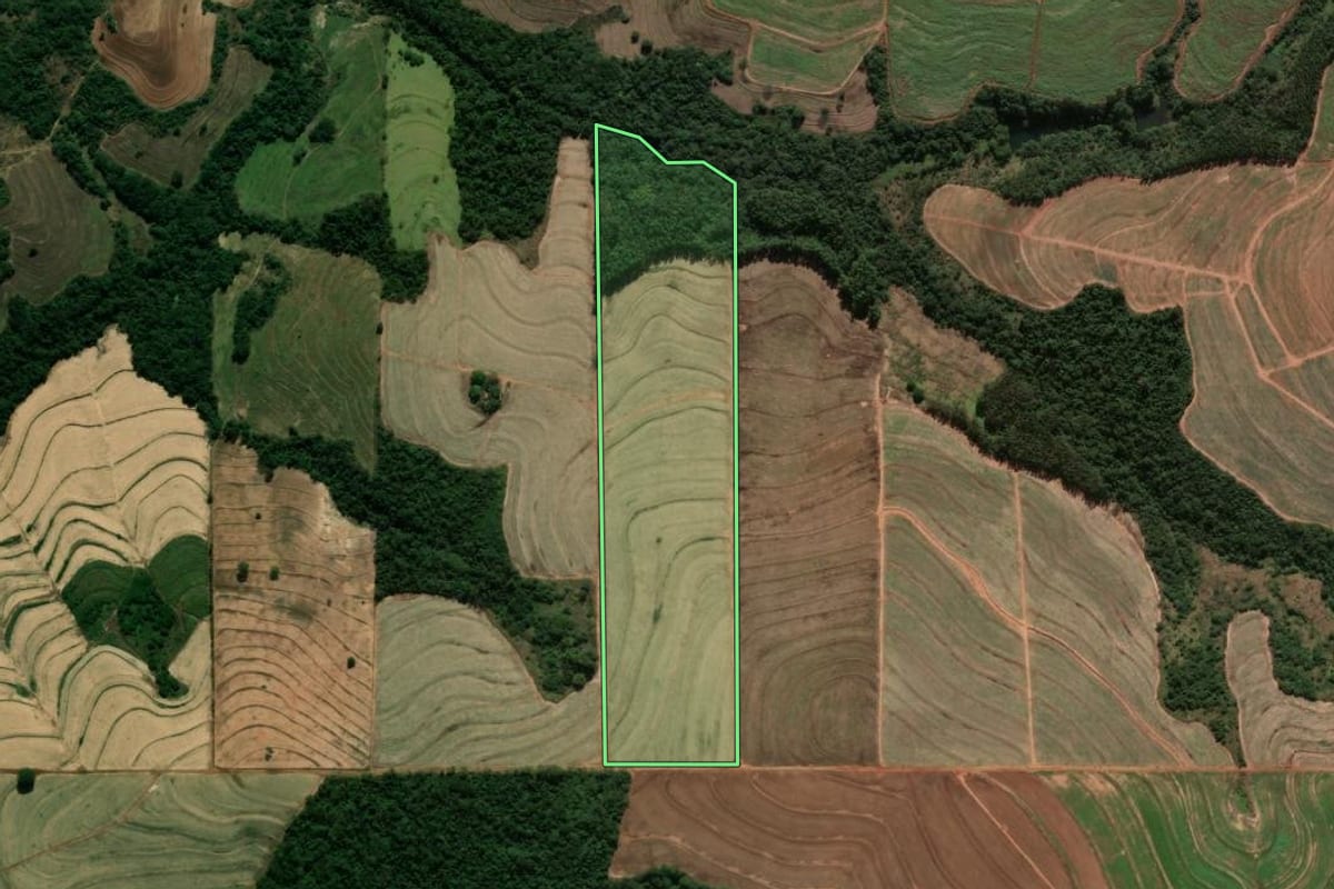 Imagem de satélite do imóvel rural em Tamboara (PR), com o contorno declarado no CAR desenhado por cima.