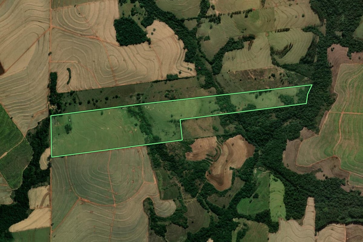 Imagem de satélite do imóvel rural em Tamboara (PR), com o contorno declarado no CAR desenhado por cima.